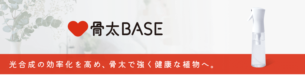 骨太BASE 光合成の効率化を高め、骨太で強く健康な植物へ。