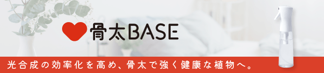 骨太BASE 光合成の効率化を高め、骨太で強く健康な植物へ。